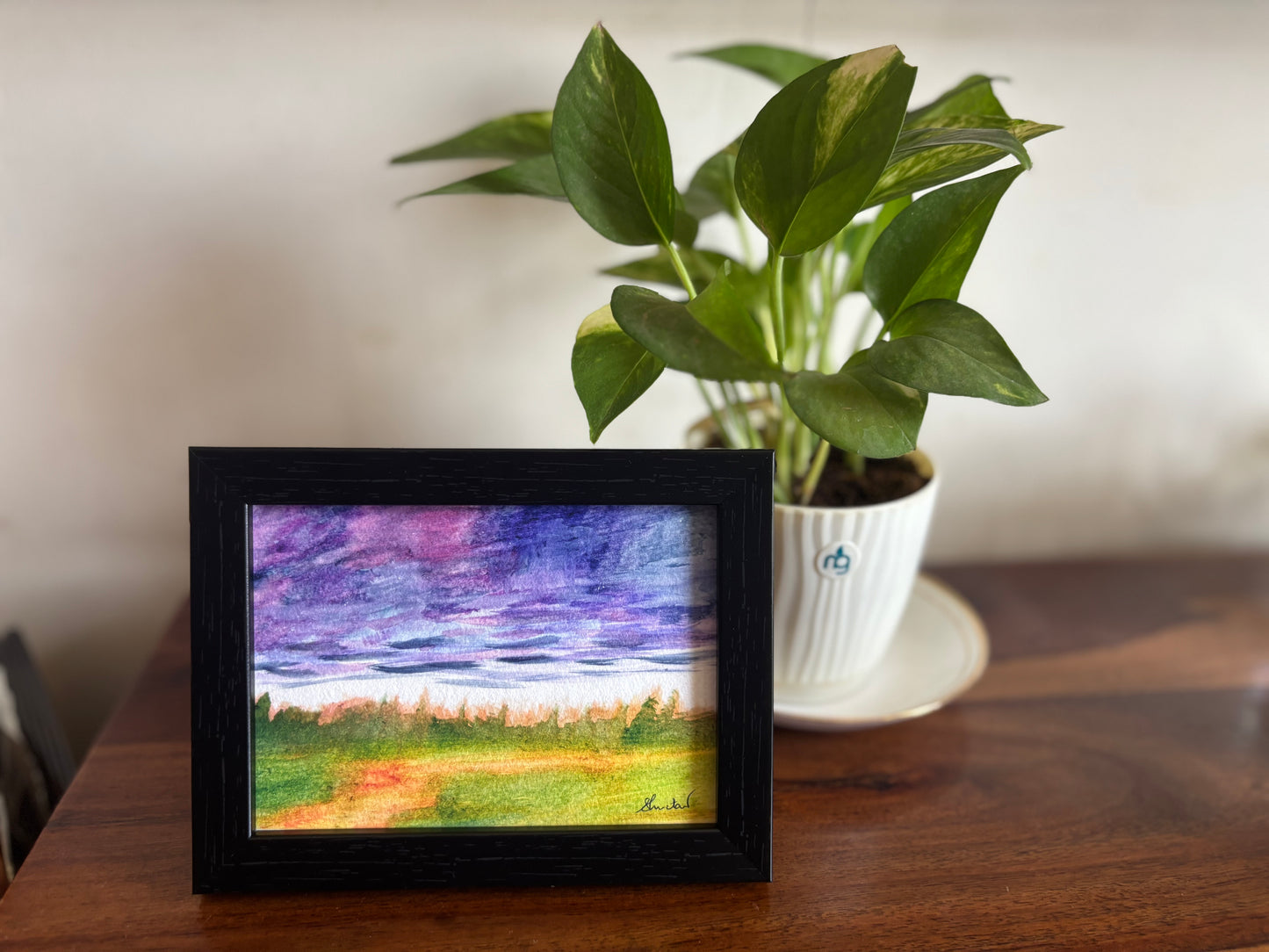 Purple sky and a meadow